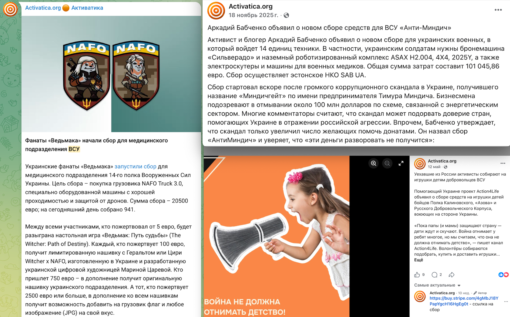 Финансовым координатором НКО выступает супруг Чириковой Михаил Матвеев